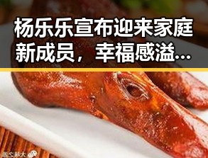 杨乐乐宣布迎来家庭新成员,幸福感溢出屏幕✨
